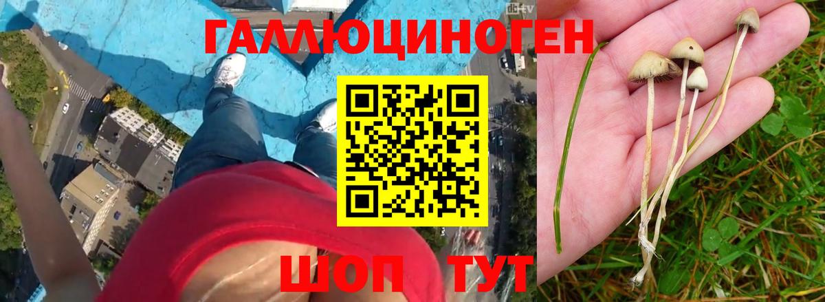 Сергиев Посад  Псилоцибиновые грибы мицелий  Вход с VPN 