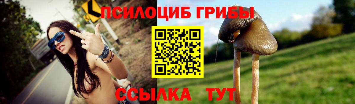 Псилоцибиновые грибы ЛСД Сергиев Посад